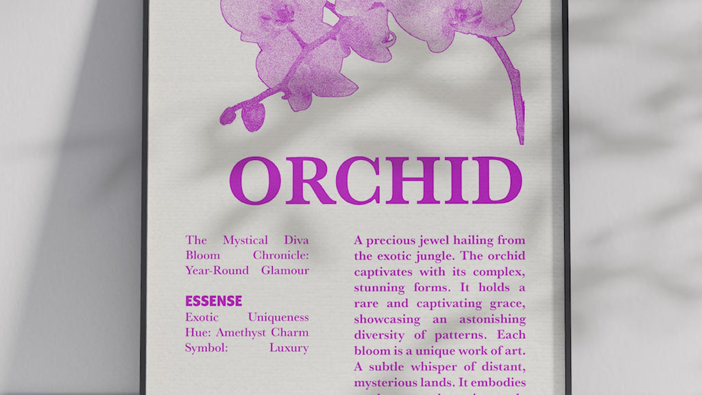 Vintage botanical orchid poster featuring a detailed flower illustration in soft white tones, printed on semi-gloss sustainable paper. Perfect wall art for living rooms, bedrooms, or modern interiors with an elegant and natural aesthetic.