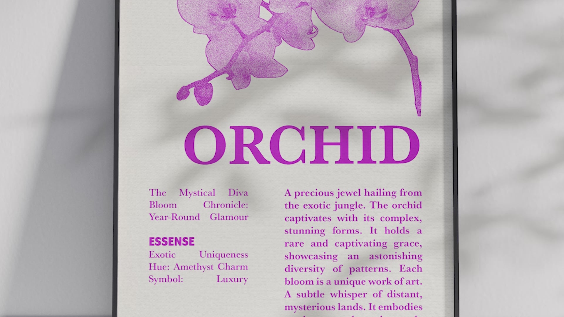 Vintage botanical orchid poster featuring a detailed flower illustration in soft white tones, printed on semi-gloss sustainable paper. Perfect wall art for living rooms, bedrooms, or modern interiors with an elegant and natural aesthetic.