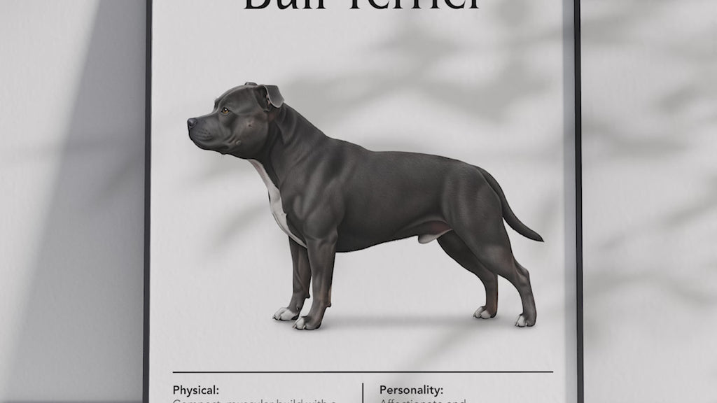 Detailed Staffordshire Bull Terrier dog breed poster showcasing its strong build and courageous, affectionate personality traits, printed on semi-gloss sustainable paper. Perfect wall art for family rooms, living rooms, or modern interiors with a robust and loving aesthetic.