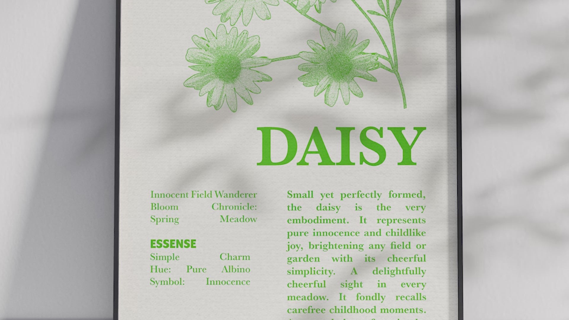 Vintage botanical daisy poster featuring a detailed flower illustration in cheerful green tones, printed on semi-gloss sustainable paper. Perfect wall art for living rooms, bedrooms, or modern interiors with a light and natural aesthetic.