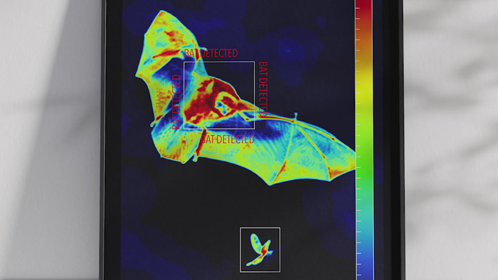 Modern infrared bat poster featuring a flying bat in vivid thermal colors, printed on semi-gloss paper. Perfect wall art for science enthusiasts, modern homes, or gallery walls with a unique, nocturnal aesthetic.