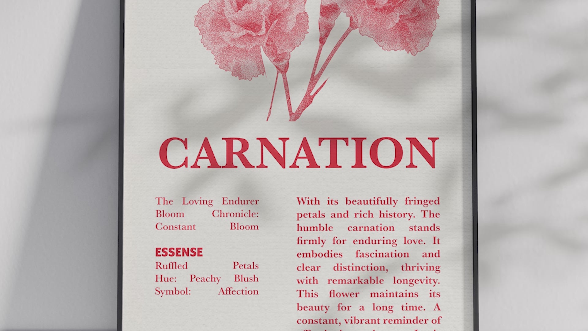 Vintage botanical carnation poster featuring a detailed flower illustration in vibrant red tones, printed on semi-gloss sustainable paper. Perfect wall art for living rooms, bedrooms, or modern interiors with a loving and natural aesthetic.